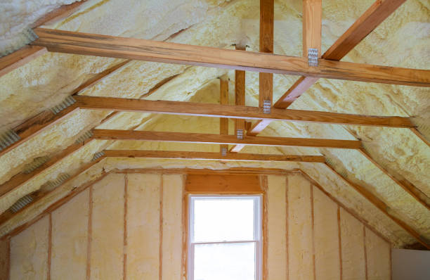 Best Insulation Inspection Services  in Red Corral, CA