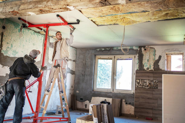 Best Insulation Removal  in Red Corral, CA